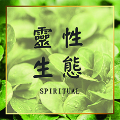 靈性生態